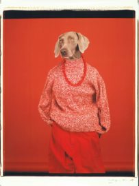 William Wegman: Being Human