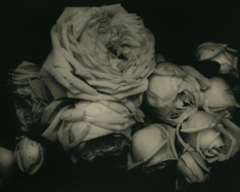 Edward Steichen: Lives in Photography