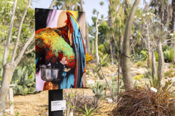 “The High Life” at Marie Selby Botanical Gardens